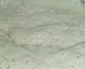 Yeast Fermentation