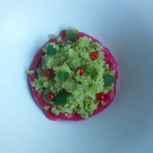 Wood Sorrel Granita