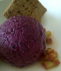 Blueberry Sorbet Cream with Rhubarb and Honey Graham Crackers