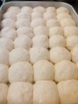 Parker House rolls after proofing.