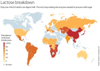 Lactose Intolerance Map