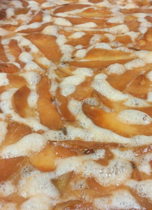 Fermenting Pears for Vinegar