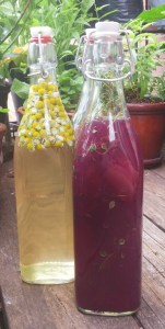 Fruit Vinegar