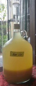 Pear Vinegar in Carboyl