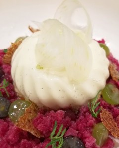 Vanilla Yogurt Panna Cotta